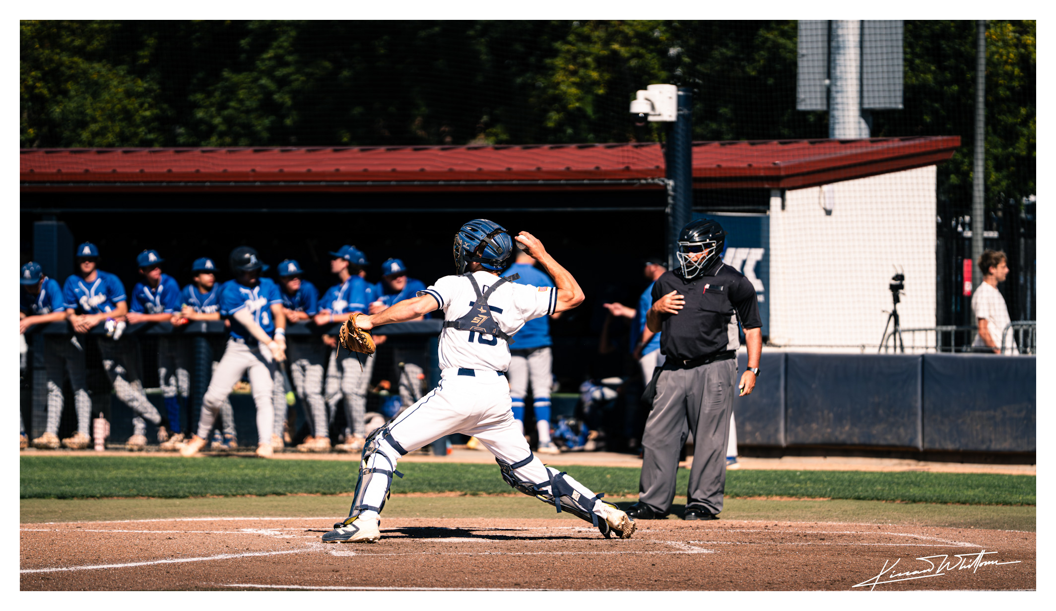 Batter swing